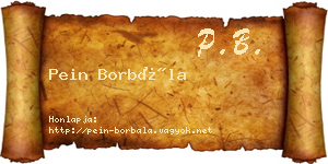 Pein Borbála névjegykártya